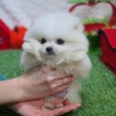 모두와샵 이미지