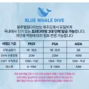 소암로 | [제주] “블루웨일다이브 서귀포점” 프리다이빙 Lv 1+2 PADI2 이틀 취득 후기 (내돈내산)
