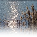 미사리조정경기장 이미지