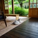 자락스테이 이미지