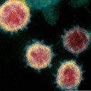 삼도사우나 이미지