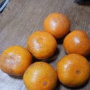 상금농장 이미지