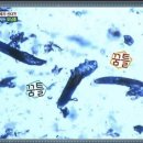 바로바디 이미지