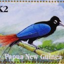 P - 5. Papua New Guinea / 파푸아뉴기니 이미지