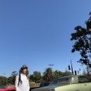 엔젤파머스 이미지