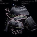 리베르여성병원 이미지