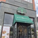 명천초등학교 | 그린브라우니보령카페 브런치맛집추천 대천해수욕장가면 바로여기