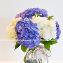 꽃꽃이 고급 이미지