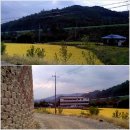 삼신보건진료소 이미지