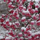 사천중학교 이미지