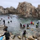 장호1리 이미지