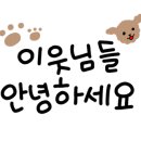 양산대로 이미지