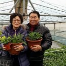 큰집농장 이미지