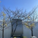 팔마테니스장 이미지