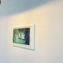 새원1길 4 (1) | 구미 원호 세영리첼 친환경 개나리 벽지 시공 후기(동영상첨부)