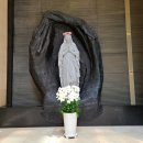 위드팜서초역약국 이미지