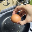 양촌농원 1농장 이미지