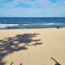 GS25경포윌점 이미지