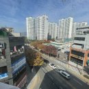 북구팀매드