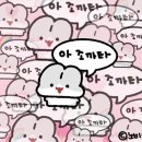 스타토 이미지