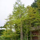 한수농장 이미지