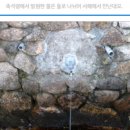 본자일 이미지