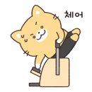 펀치레이디 & 필라테스 이미지