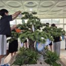 성원초교 이미지