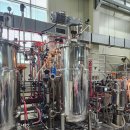 대상바이오 | 무료 GMP 교육 후기｜무료 바이오 교육 3종 비교 정리