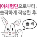 세종 고운 태권도 이미지