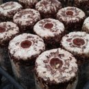 충도리농장 이미지