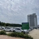 영종도 구읍뱃터 진도완도수산 나루터식당 후기