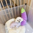 홍글몽글 - 남구 중앙로156번길 44 | 홍글몽글