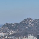 제1118회 5670 아름다운 동행 (3/29 일요산행) 남산 공지 이미지