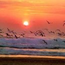 떠오르는태양 이미지