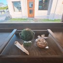모어디저트 주변 | [제주 북촌] 고즈넉한 북촌포구 앞에 위치한 제주 북촌 카페 쏘머치모어 so much more 쑥 몽블랑 솔직후기