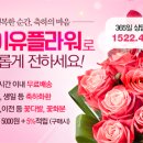 주플로 이미지