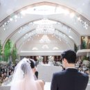 영스냅 - 강남구 논현로164길 16 | 영스냅