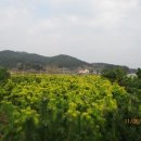 우림목장(2) 이미지