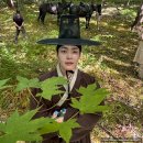 넷플릭스 &#39;탄금&#39; 줄거리+결말 후기 사극 드라마 추천