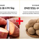 밤나무골농장 이미지