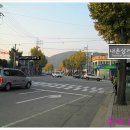 연무시외버스터미널 앞 이미지