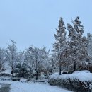 호계3동행정복지센터 이미지