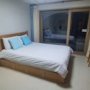 삼구회포장센터 티스토리