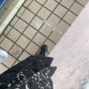 사가정로51길 (10) 이미지