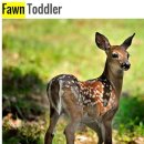 fawn - fawn over 이미지