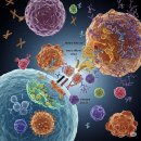 엑소메디의원 이미지