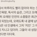 아브니르 이미지