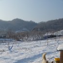 전라도농장 이미지