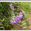 (유)산야 이미지